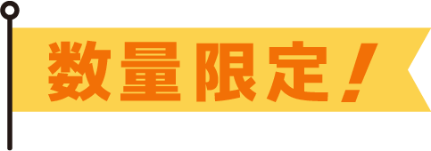 数量限定